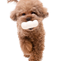 BaconBox Strawberry Flower Latex Toy 花花乳膠玩具