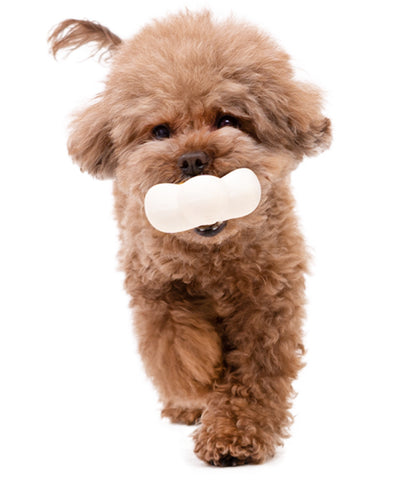 BaconBox Strawberry Flower Latex Toy 花花乳膠玩具