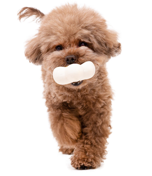 BaconBox Strawberry Flower Latex Toy 花花乳膠玩具