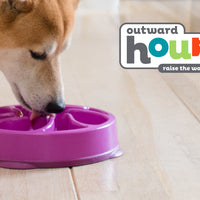 Outward Hound Fun Feeder Slo Bowl 慢食碗 - 紫色花型