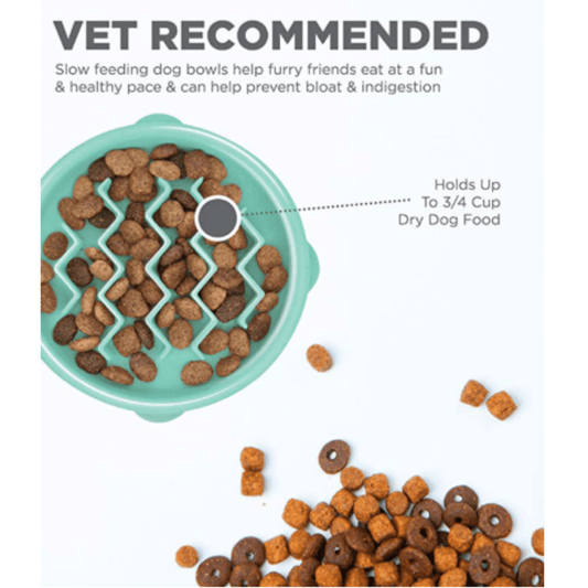 Outward Hound Fun Feeder Slo Bowl 波浪型慢食碗 (小型犬/貓用）