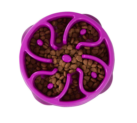 Outward Hound Fun Feeder Slo Bowl 慢食碗 - 紫色花型