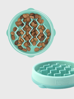 Outward Hound Fun Feeder Slo Bowl 波浪型慢食碗 (小型犬/貓用）