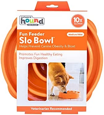 Outward Hound Fun Feeder Slo Bowl 慢食碗 - 橙色螺旋形