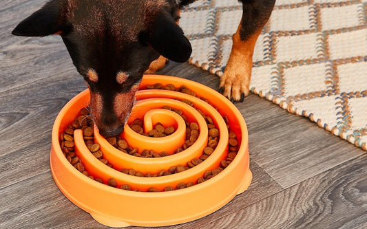 Outward Hound Fun Feeder Slo Bowl 慢食碗 - 橙色螺旋形