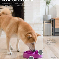 Outward Hound Fun Feeder Slo Bowl 慢食碗 - 紫色花型
