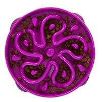 Outward Hound Fun Feeder Slo Bowl 慢食碗 - 紫色花型