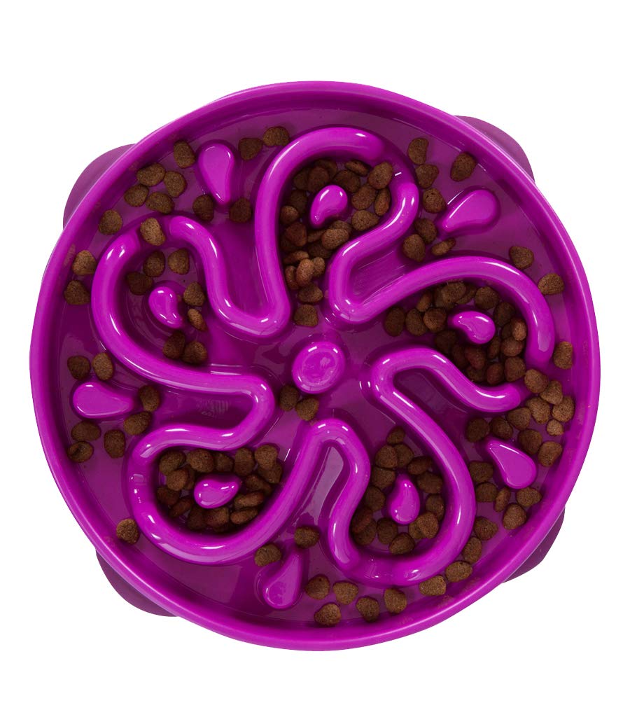 Outward Hound Fun Feeder Slo Bowl 慢食碗 - 紫色花型