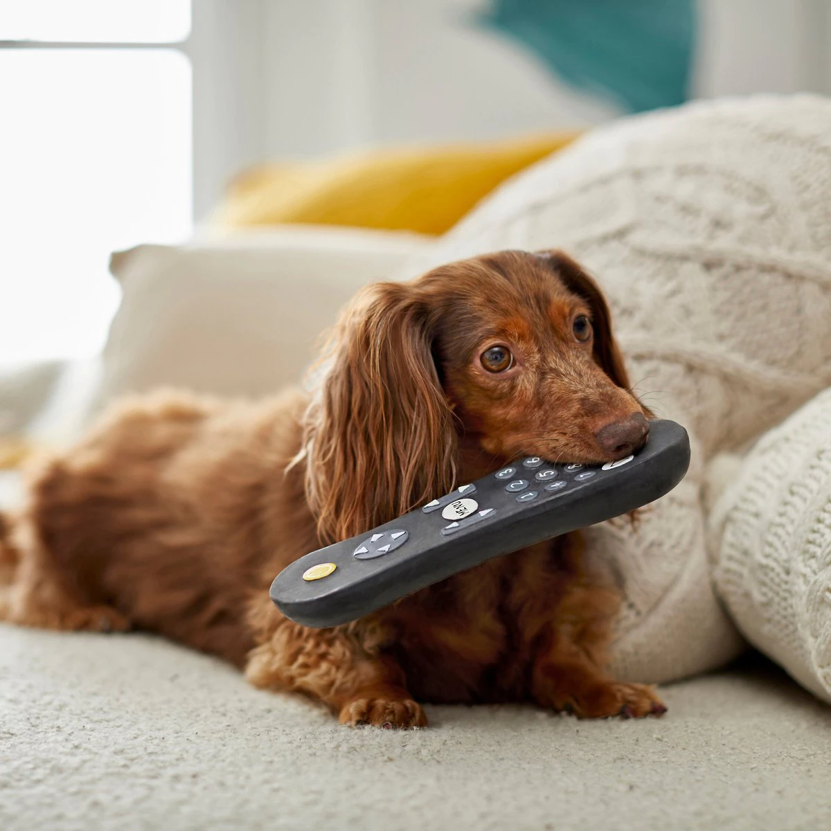 Frisco Zoomies & Chill Remote Latex Squeaky Dog Toy 遙控發聲玩具