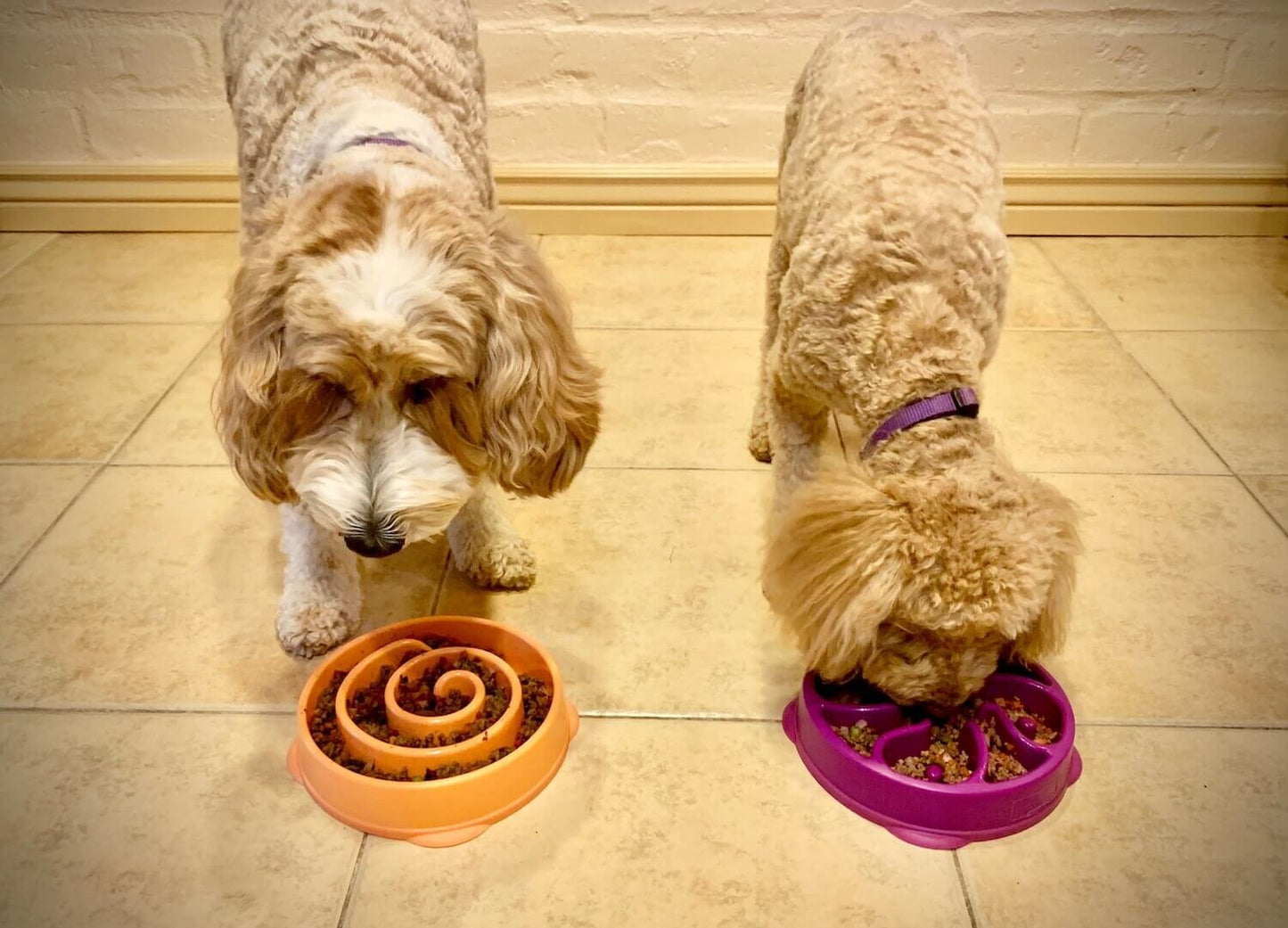 Outward Hound Fun Feeder Slo Bowl 慢食碗 - 紫色花型