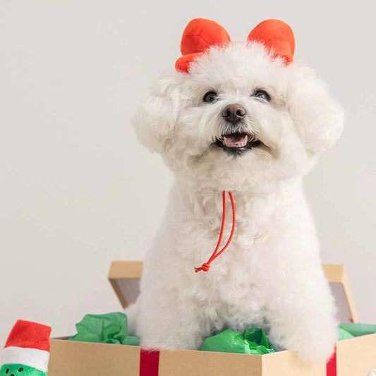 BITE ME Ribbon Headband Dog Toy 蝴蝶結玩具頭飾