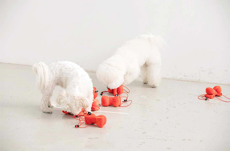 BITE ME Ribbon Headband Dog Toy 蝴蝶結玩具頭飾