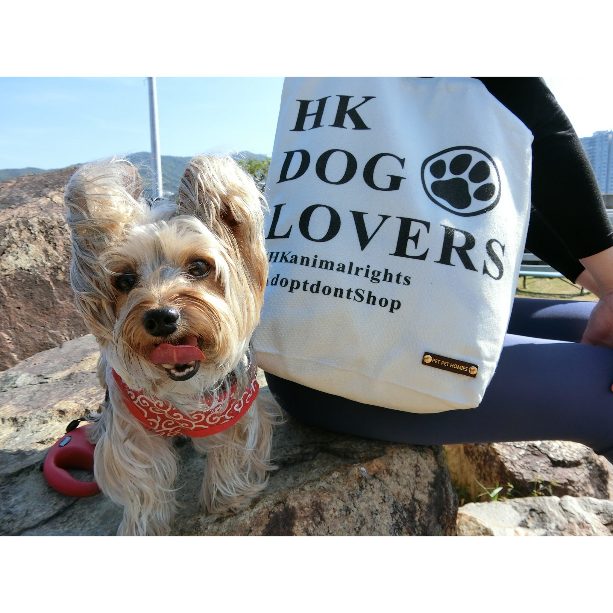 HK Dog Lover 帆布袋 tote bag