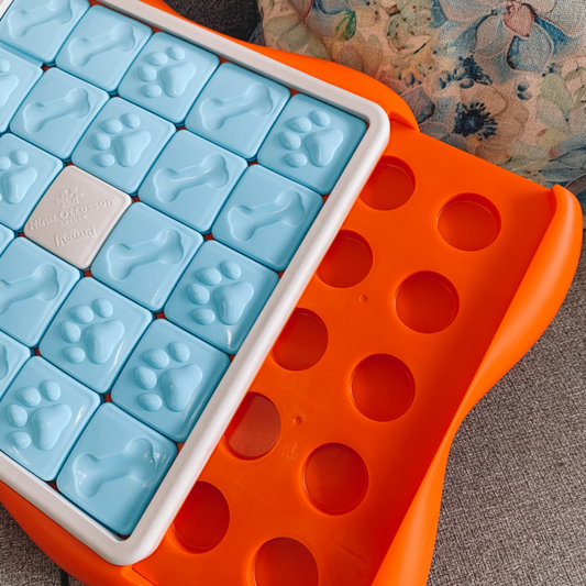 Outward Hound Nina Ottosson Challenge Slider 益智零食板