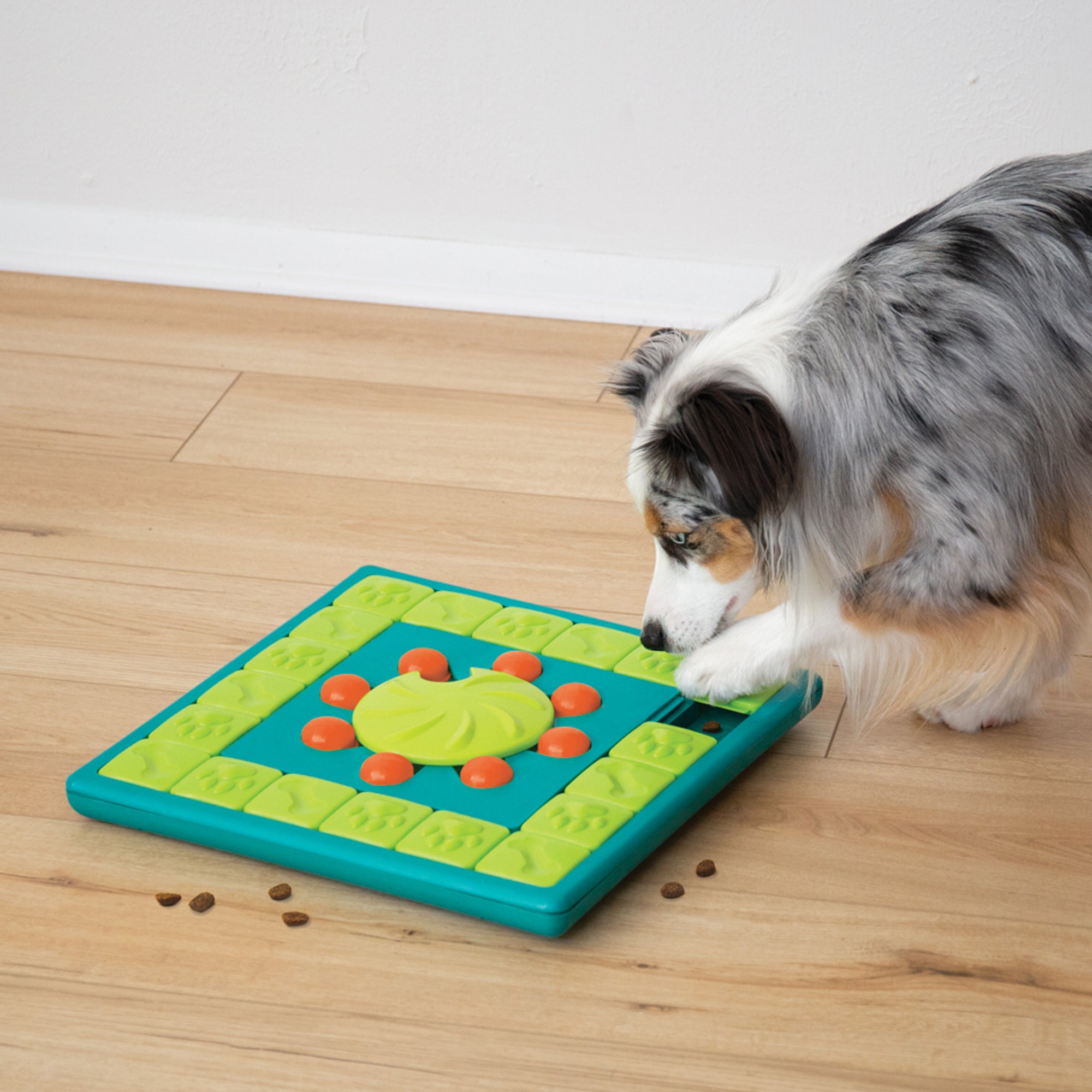 Outward Hound Nina Ottosson Multipuzzle 麻雀益智零食板