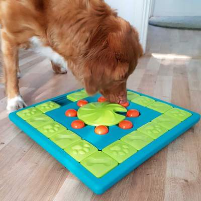 Outward Hound Nina Ottosson Multipuzzle 麻雀益智零食板