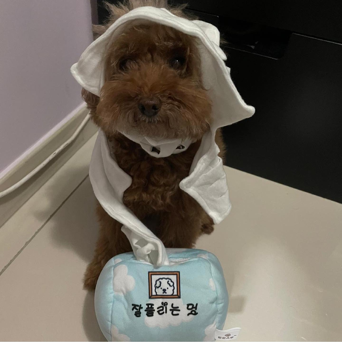 香港獨家 韓國聞嗅紙巾玩具 Tissue Box