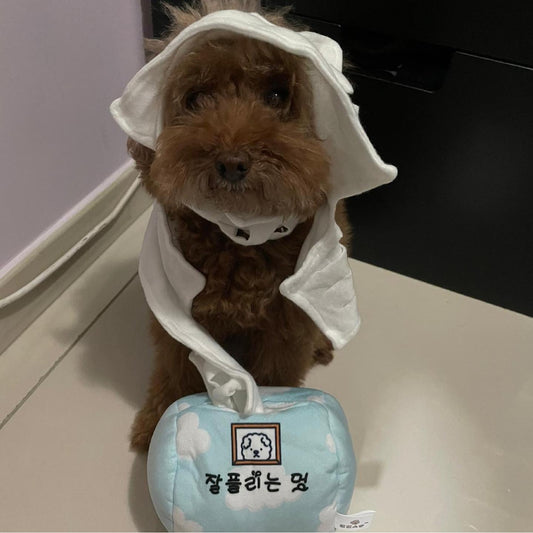 香港獨家 韓國聞嗅紙巾玩具 Tissue Box