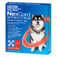 （現貨) Nexgard Spectra 6 packs 六粒裝