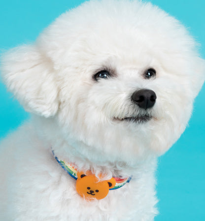 Wiggle Wiggle Bear LED Light 防水熊仔燈 (三種閃燈模式)