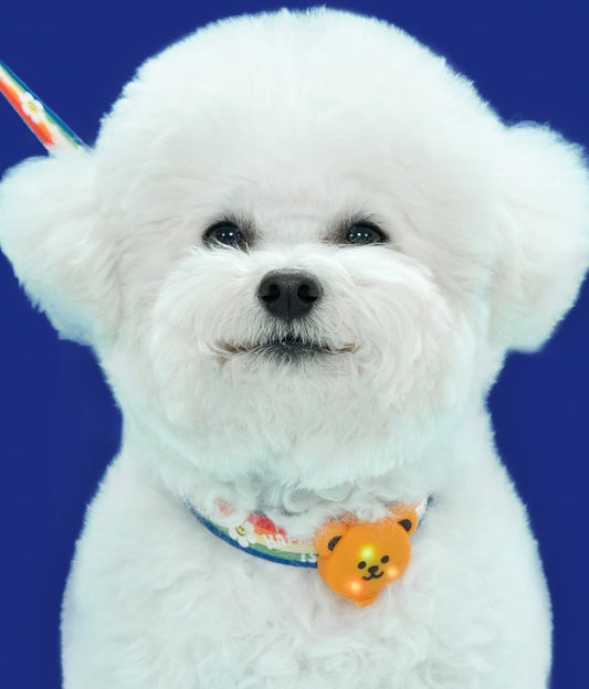 Wiggle Wiggle Bear LED Light 防水熊仔燈 (三種閃燈模式)