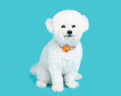 Wiggle Wiggle Bear LED Light 防水熊仔燈 (三種閃燈模式)