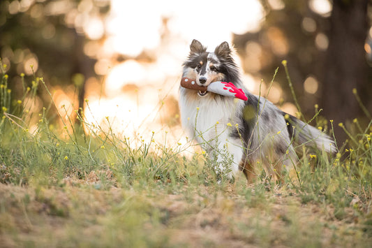 P.L.A.Y  仿刀仔發聲玩具 Doggy Dagger